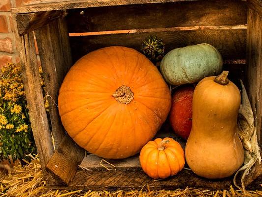 Bauernmarkt Kürbis Deko