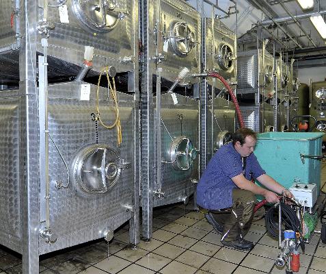 Weinlese Keller Technik