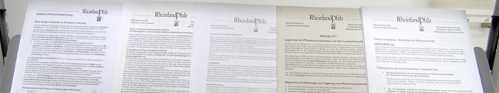 Merkblätter und Formular © Dienstleistungszentren Ländlicher Raum
